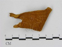 登錄號:F0008072藏品圖，第3張