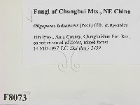 登錄號:F0008073藏品圖，第2張