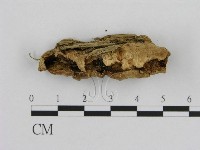 登錄號:F0008073藏品圖，第3張