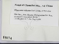 登錄號:F0008074藏品圖，第2張