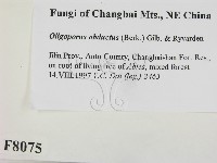 登錄號:F0008075藏品圖，第2張