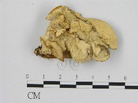 登錄號:F0008075藏品圖，第1張