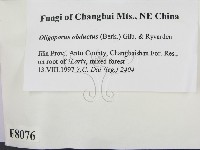 登錄號:F0008076藏品圖，第2張