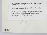 登錄號:F0008077藏品圖，第2張