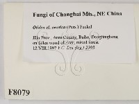 登錄號:F0008079藏品圖，第2張