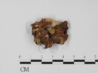 登錄號:F0008079藏品圖，第1張