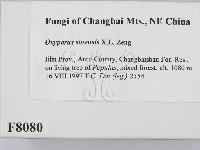 登錄號:F0008080藏品圖，第2張