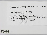 登錄號:F0008081藏品圖，第2張