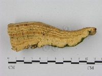 登錄號:F0008081藏品圖，第3張