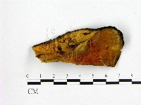 登錄號:F0008082藏品圖，第3張