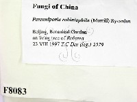 登錄號:F0008083藏品圖，第2張