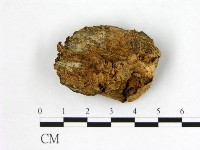登錄號:F0008083藏品圖，第3張