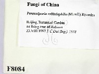 登錄號:F0008084藏品圖，第2張