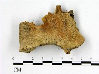 登錄號:F0008084藏品圖，第1張