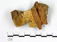 登錄號:F0008084藏品圖，第3張