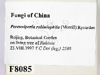 登錄號:F0008085藏品圖，第2張