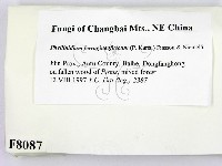 登錄號:F0008087藏品圖，第2張