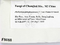 登錄號:F0008088藏品圖，第2張