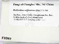 登錄號:F0008089藏品圖，第2張