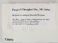 登錄號:F0008091藏品圖，第2張