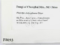 登錄號:F0008093藏品圖，第2張