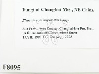 登錄號:F0008095藏品圖，第2張