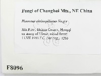 登錄號:F0008096藏品圖，第2張