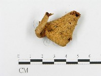 登錄號:F0008096藏品圖，第4張