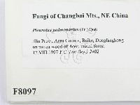 登錄號:F0008097藏品圖，第2張