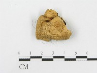 登錄號:F0008097藏品圖，第3張