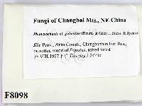 登錄號:F0008098藏品圖，第2張