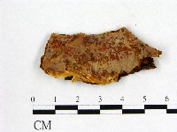 登錄號:F0008098藏品圖，第1張