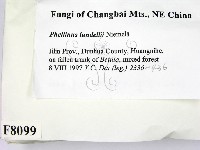 登錄號:F0008099藏品圖，第2張