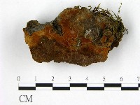 登錄號:F0008099藏品圖，第1張