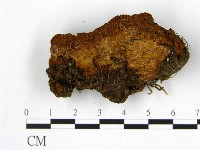 登錄號:F0008099藏品圖，第3張