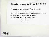 登錄號:F0008101藏品圖，第2張