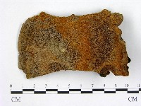 登錄號:F0008101藏品圖，第3張