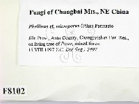 登錄號:F0008102藏品圖，第2張