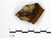 登錄號:F0008102藏品圖，第3張