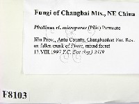 登錄號:F0008103藏品圖，第2張