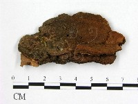 登錄號:F0008103藏品圖，第1張