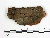 登錄號:F0008103藏品圖，第3張