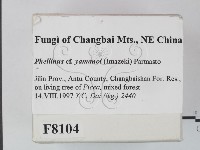 登錄號:F0008104藏品圖，第2張