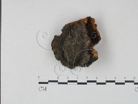 登錄號:F0008104藏品圖，第1張