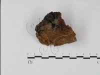 登錄號:F0008104藏品圖，第3張