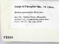 登錄號:F0008105藏品圖，第2張