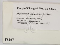 登錄號:F0008107藏品圖，第2張