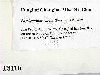 登錄號:F0008110藏品圖，第2張