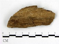 登錄號:F0008110藏品圖，第3張