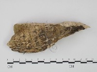 登錄號:F0008112藏品圖，第3張